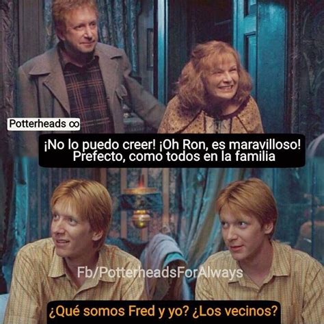 Amo A Los Gemelos Weasley Harry Potter Funny Harry Potter Memes