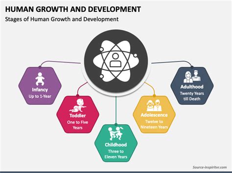 Human Growth and Development PowerPoint and Google Slides Template ... 