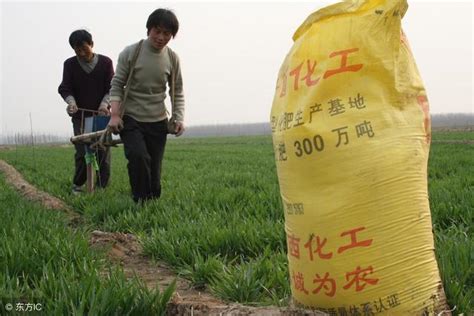 專家：農村一畝地收入600，種植大戶卻紛紛「退租」，理解不了！ 每日頭條