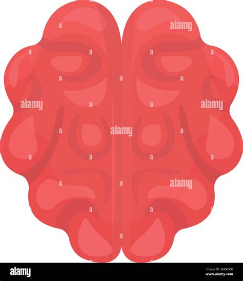 Brain Icon Cartoon Vector Human Anatomy Neurology Science Stock