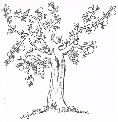 Awesome Tree Coloring Page Awesome Apple Tree Coloring Page Mackira