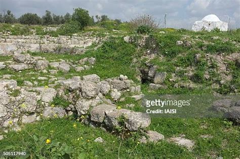 32 Samaria (Ancient City) Stock Photos, High-Res Pictures, and Images ...