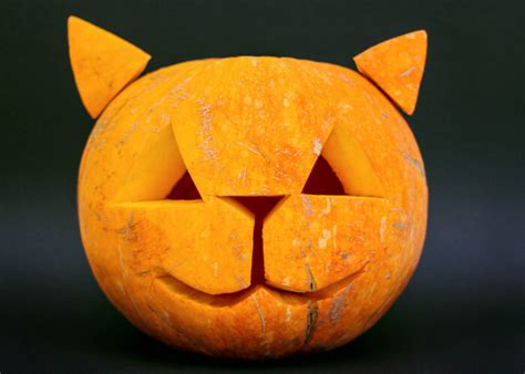 10 Cat Pumpkin Carving Ideas