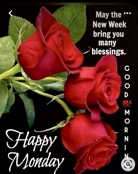 Pin By Joyce Morin On Happy Monday In 2024 Happy Monday Morning Monday Good Morning Wishes