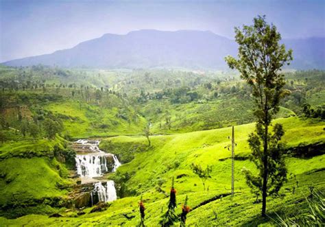 Trip To Nuwara Eliya Nuwara Eliya Tour Packages Travelite India