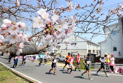 ＜さが桜マラソン2021＞それぞれの完走目指せ 3月15～28日 オンライン開催 スポーツ 佐賀県のニュース 佐賀新聞