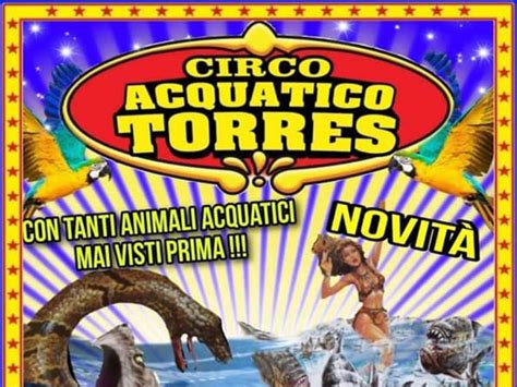 Settembre Circo Acquatico Torres Piraino Ttatt Go