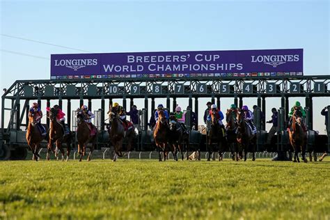 2021 Breeders’ Cup Turf Betting Trends - Horse Racing Reports and News ...