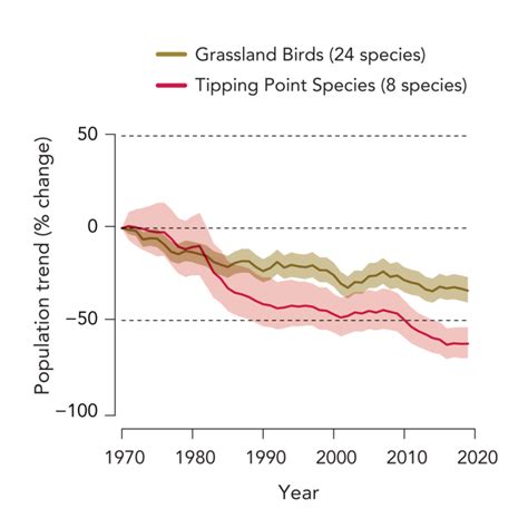 Grassland Birds State Of The Birds 2022