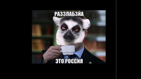Узбагойся - YouTube