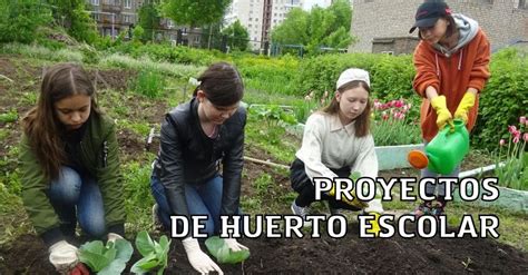 Proyectos De Huerto Escolar Importancia Y Ejemplos Proyectos Educativos