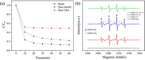 A Radical Species Quenching Experiment B Spin Trapping Epr Spectra For