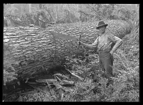 12 Rare Photos Show Oregons Logging History Like Never Before