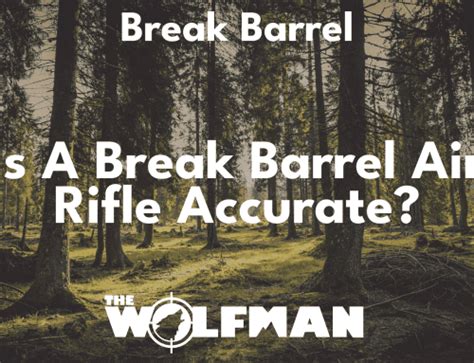 What Is The Best Break Barrel Air Rifle The Wolfman