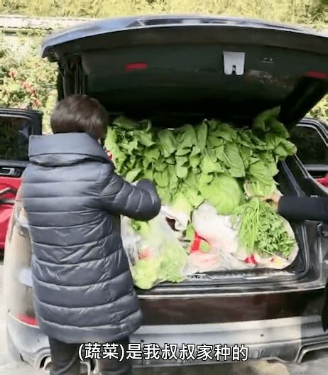 满满的爱返程后备箱被塞满恨不得让我把家都搬走 父母