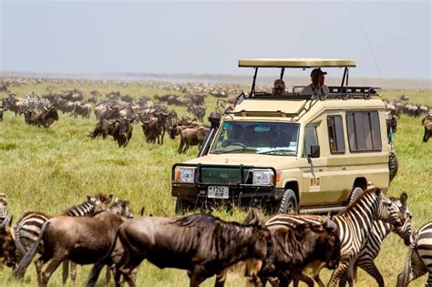 Serengeti Safari Tour Packages Will Help To Explore This Amazing National Park Closely By