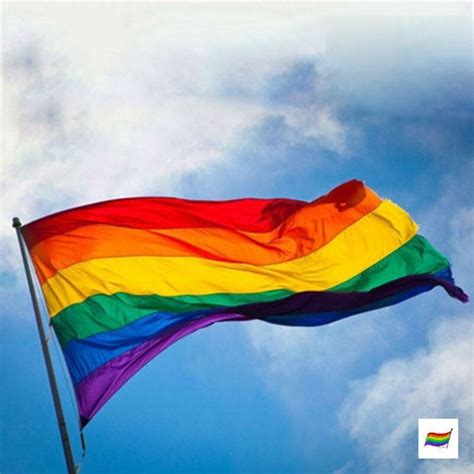 Drapeau Lgbt Arc En Ciel 6 Couleurs