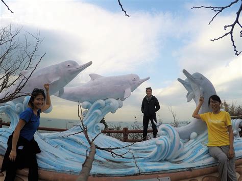 Hello Again And Welcome To My Final Blog Entry For Hkdcs Hong Kong Dolphin Conservation Society