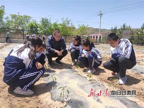 【中省媒体看平凉】庄浪县南湖中学：“开心农场”进校园 劳动实践收获多澎湃号·政务澎湃新闻 The Paper