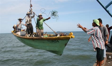 Pesca En El Salvador Importancia De La Pr Ctica Artesanal Guanacos