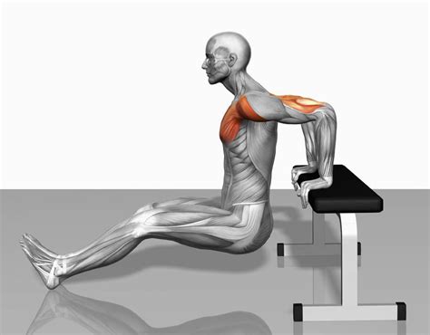 Can You Do Tricep Dips On The Floor At James Bulloch Blog