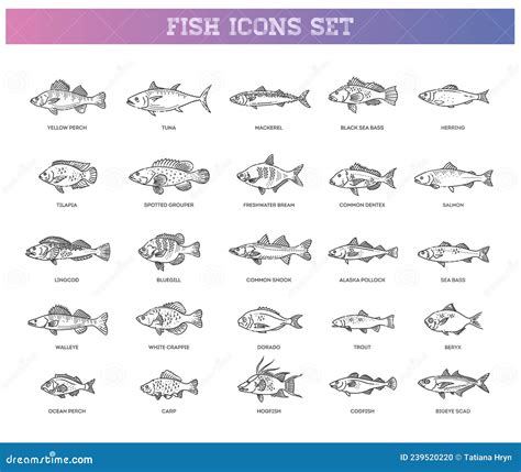 Large Set Of Fish Types Marine Ocean Fish And Freshwater Fish Stock