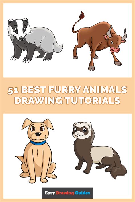 51 Easy Furry Animals Drawing Tutorials For Kids