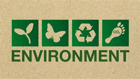 Environmental Awareness: Understanding and Implementing it in Detail