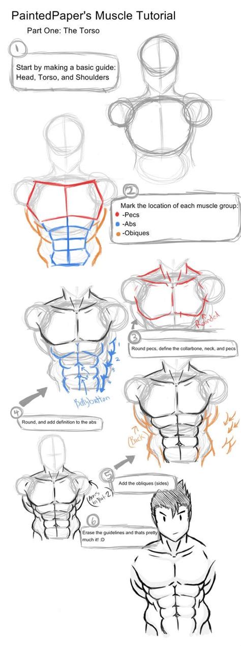 Big Muscles Tutorial Part 1 By Paintedpaper Body Drawing Tutorial