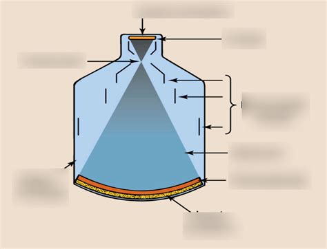 Image Intensifier Tube Diagram | Quizlet