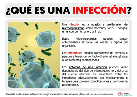 Qu Es Una Infecci N Definici N De Infecci N