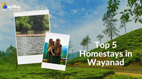 Best Homestays In Wayanad Best Budget Stay In Wayanad Top