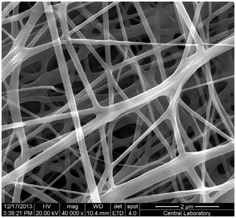 Sem Images Of Electrospun Pcl Chitosan Pcl Layer By Layer Hybrid