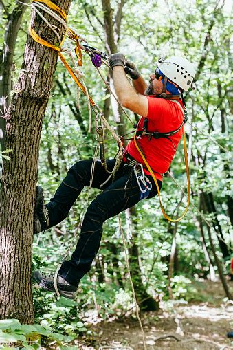 Mountain Rescuer Stock Photo Download Image Now Climbing Rescue A