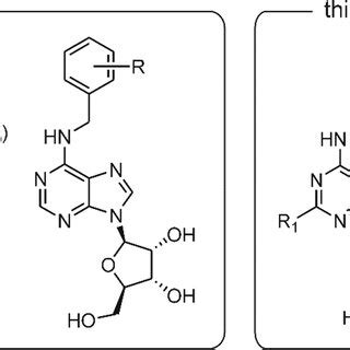 Purine nucleosides considered in this work and structurally related ...