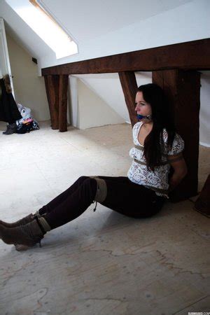 Bdsm Brunette Babe XXX Dessert