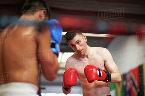 Two Boxers Sparring In Boxing Ring Stock Photo Dissolve