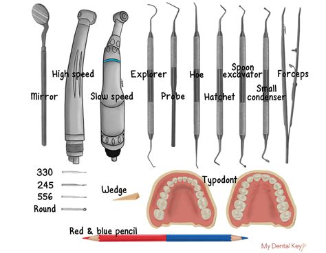 Class Ii Amalgam Preparation My Dental Key