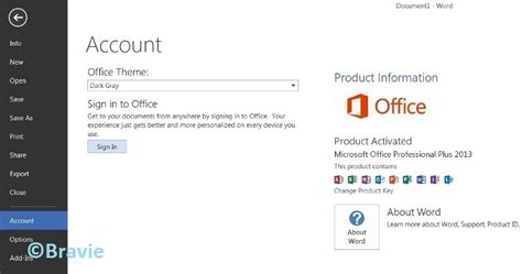 Office professional plus 2013 product key - seogtchseo
