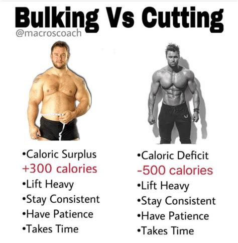 Bulking vs. Cutting - Macros Coach