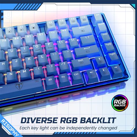 Snapklik Percent Keyboard Keys Hot Swappable Mechanical Gaming Keyboard Linear