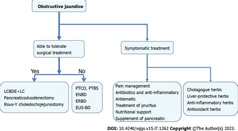 Pathophysiological Consequences And Treatment Strategy Of Obstructive