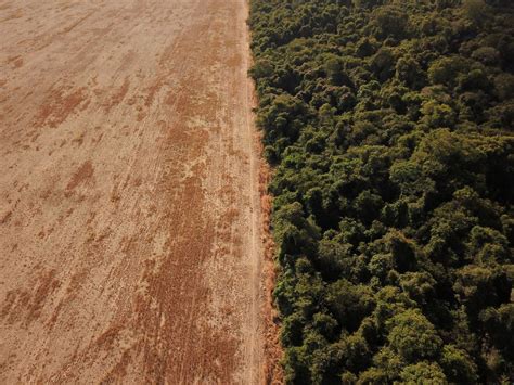 Br Sil La D Forestation De L Amazonie Atteint Un Record En Avril