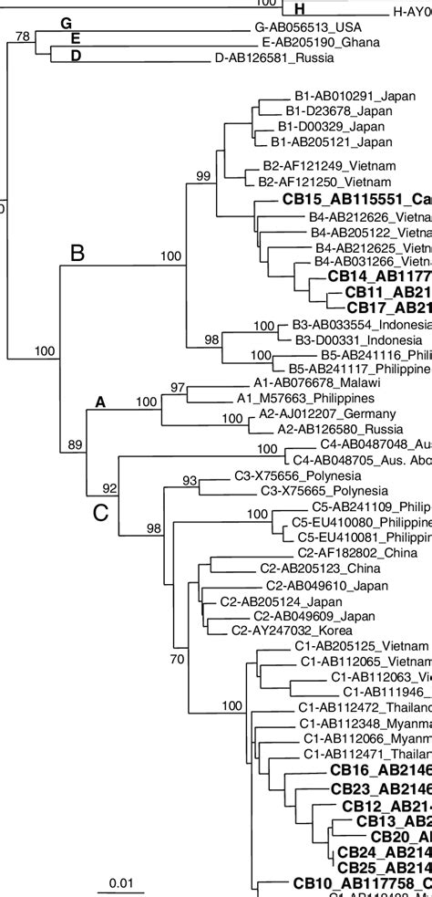 Phylogram Generated By Neighbor Joining Analysis Of Genetic Distances