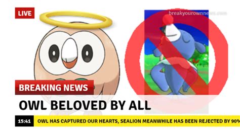 Owl Beloved By All Rowlets Roundness Know Your Meme