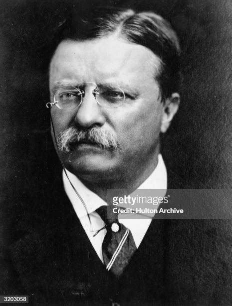 Theodore Roosevelt Portrait Photos And Premium High Res Pictures