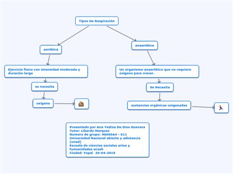 Mapa Mental De La Respiracion Mind Map The Best Porn Website