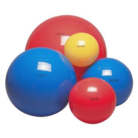 Physio Fitball Dannersports