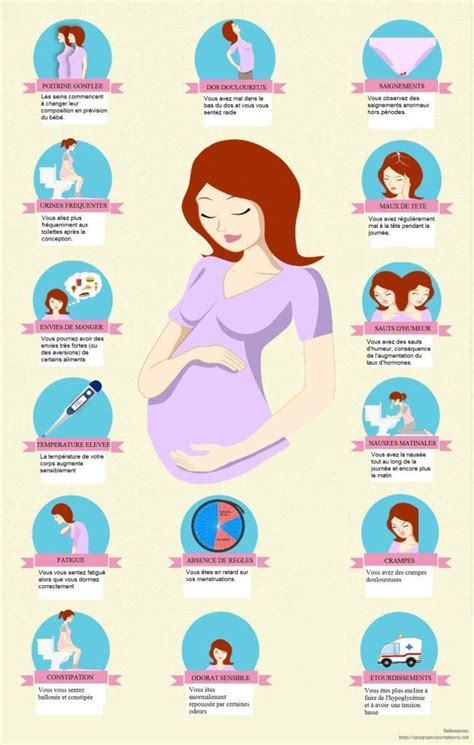 Les Signes Et Sympt Mes De La Grossesse Infographie Infographie