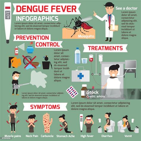 Dengue Fever Infographics Template Design Of Details Dengue Fever And Symptoms With Prevention